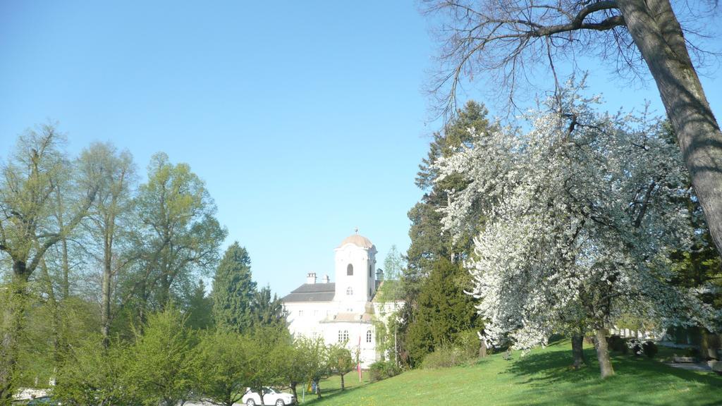 Schlosshotel Rosenau Superior Schloss Rosenau Pokój zdjęcie