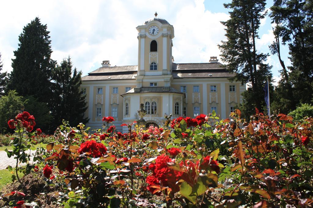 Schlosshotel Rosenau Superior Schloss Rosenau Zewnętrze zdjęcie